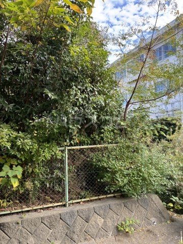 11/15 その他画像