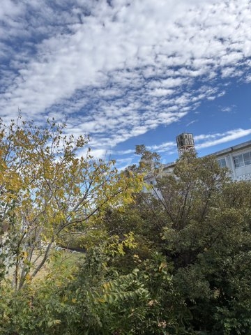 11/15 その他画像