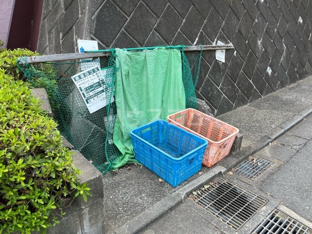 19/26 その他画像