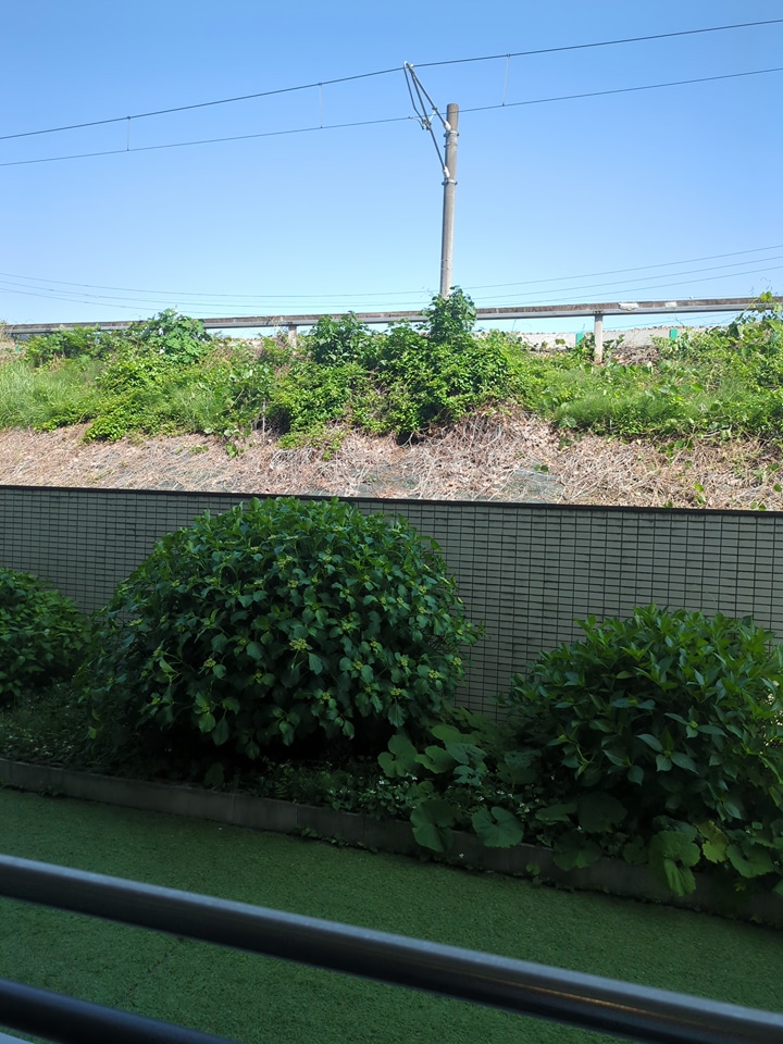 15/29 その他画像