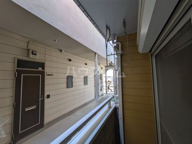 15/30 その他画像