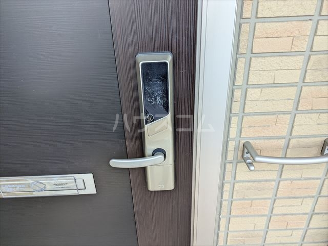 19/29 その他画像