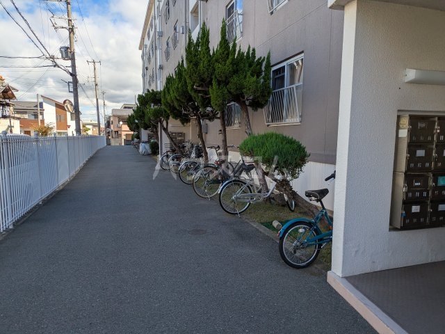 21/24 その他画像