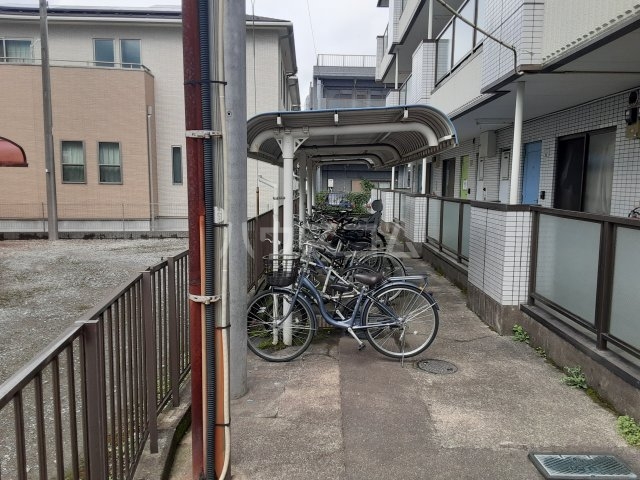 20/30 その他画像