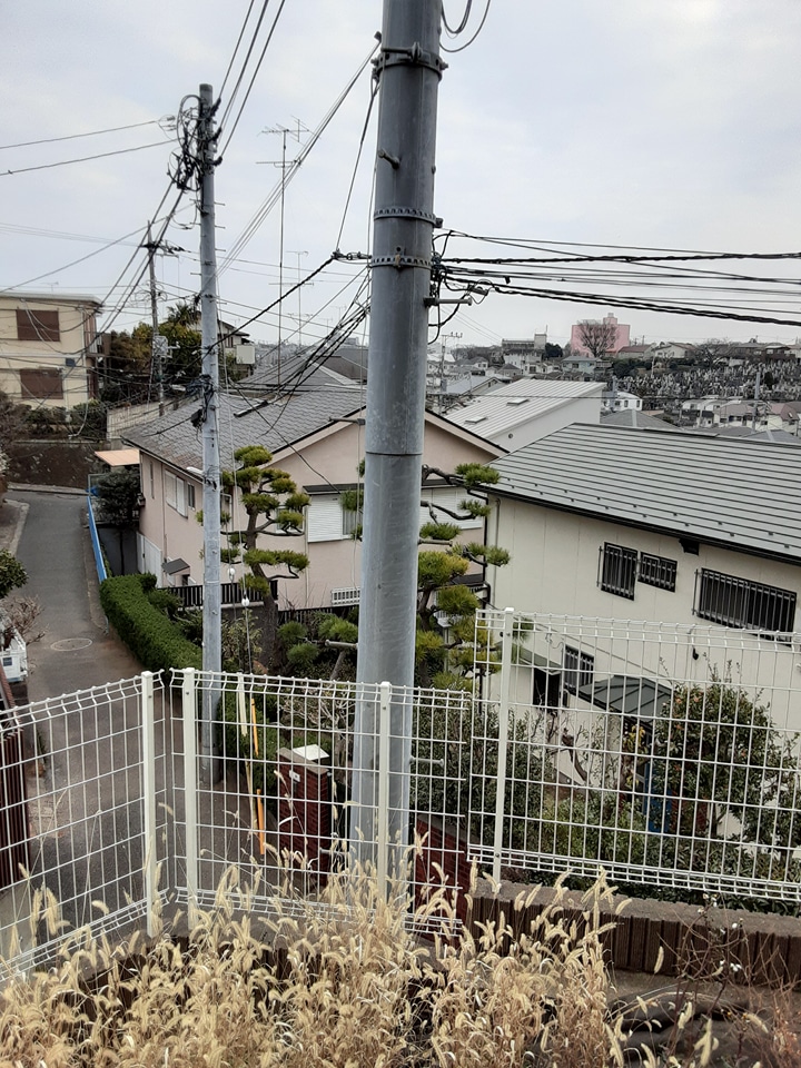 15/19 その他画像