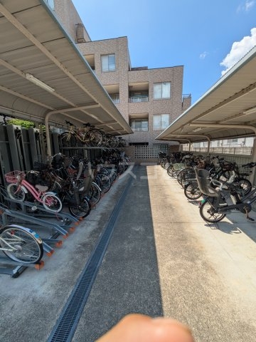 8/19 その他画像