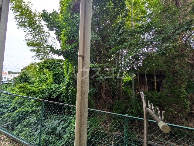 26/30 その他画像