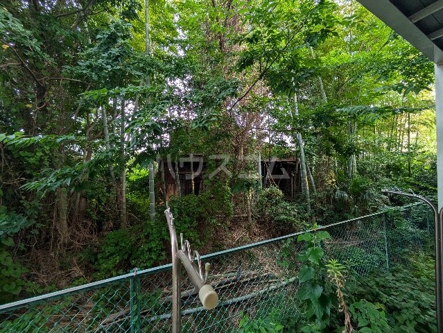 28/30 その他画像