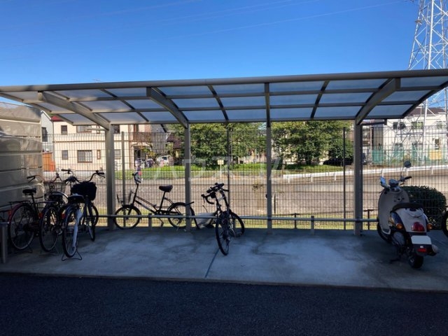 20/30 その他画像