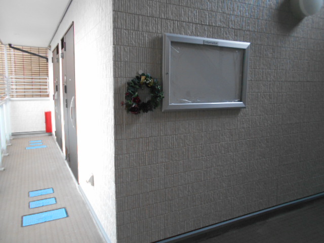 17/29 その他画像