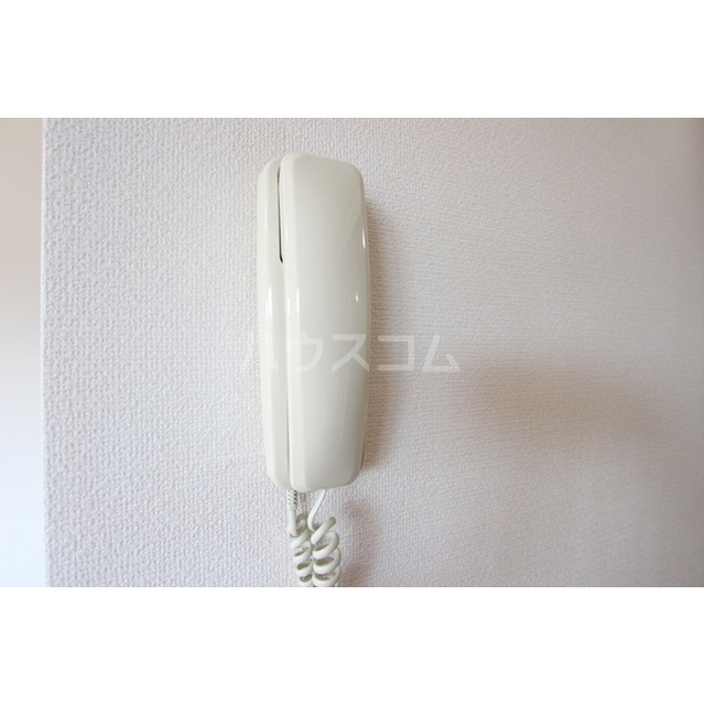 15/25 その他画像