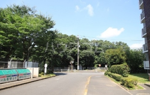 13/24 その他画像