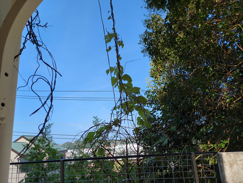 19/21 その他画像