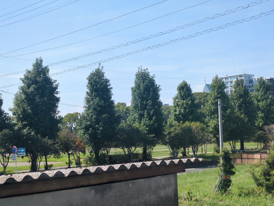 17/25 その他画像