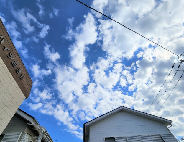 16/28 その他画像