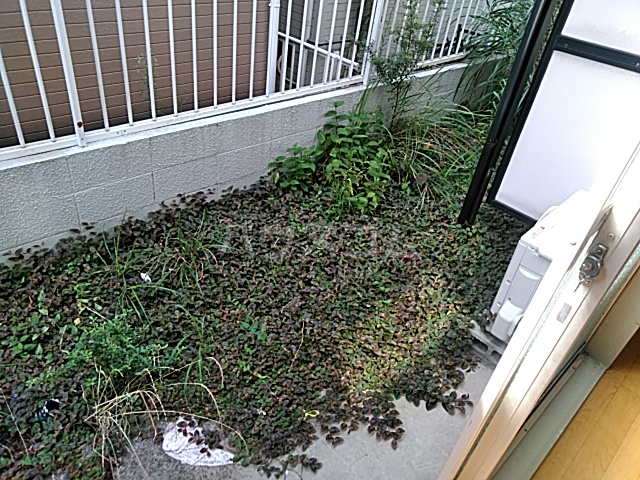 11/20 バルコニー