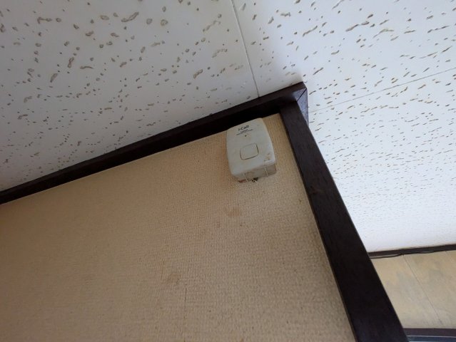 12/19 その他画像