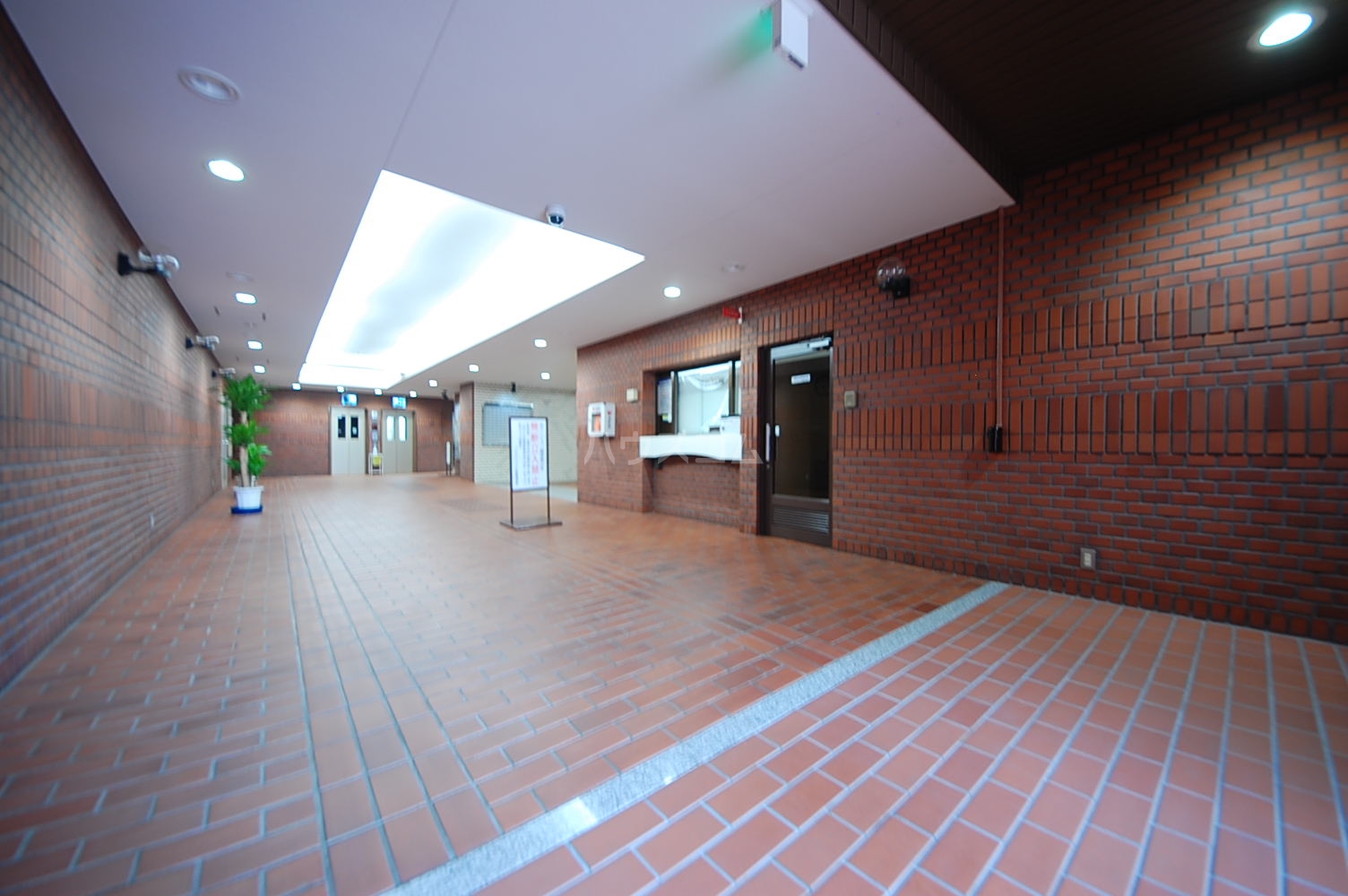 15/29 その他画像