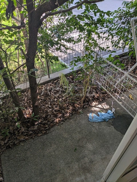 22/30 その他画像