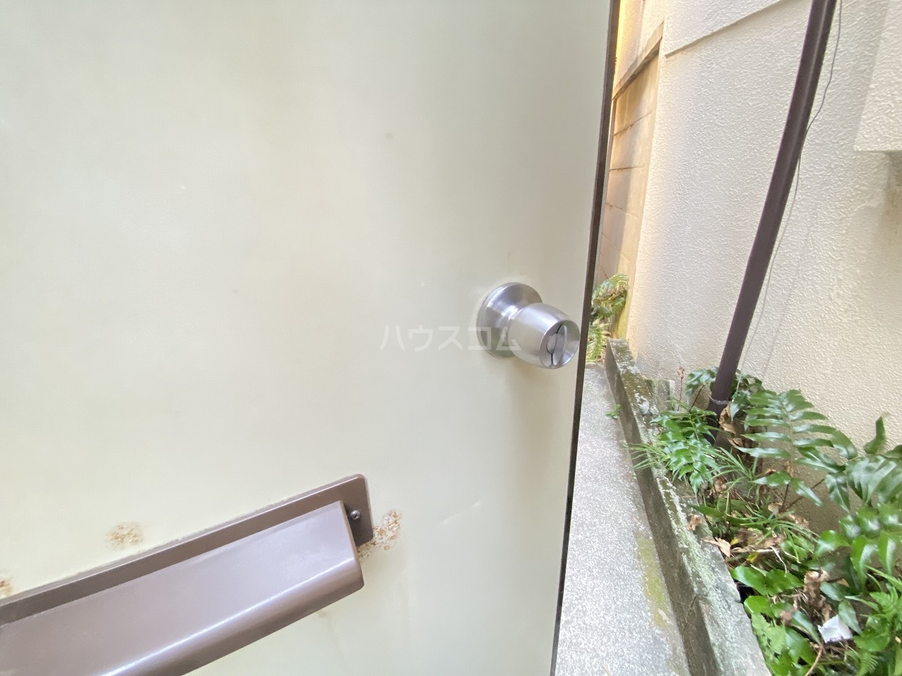 21/28 その他画像