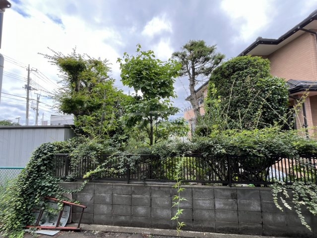 13/16 その他画像