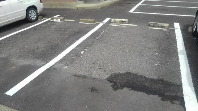 17/28 その他画像