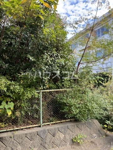 11/15 その他画像