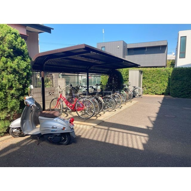 20/30 その他画像