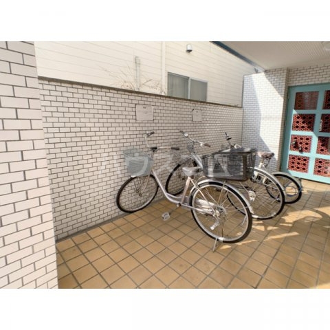 15/19 その他画像