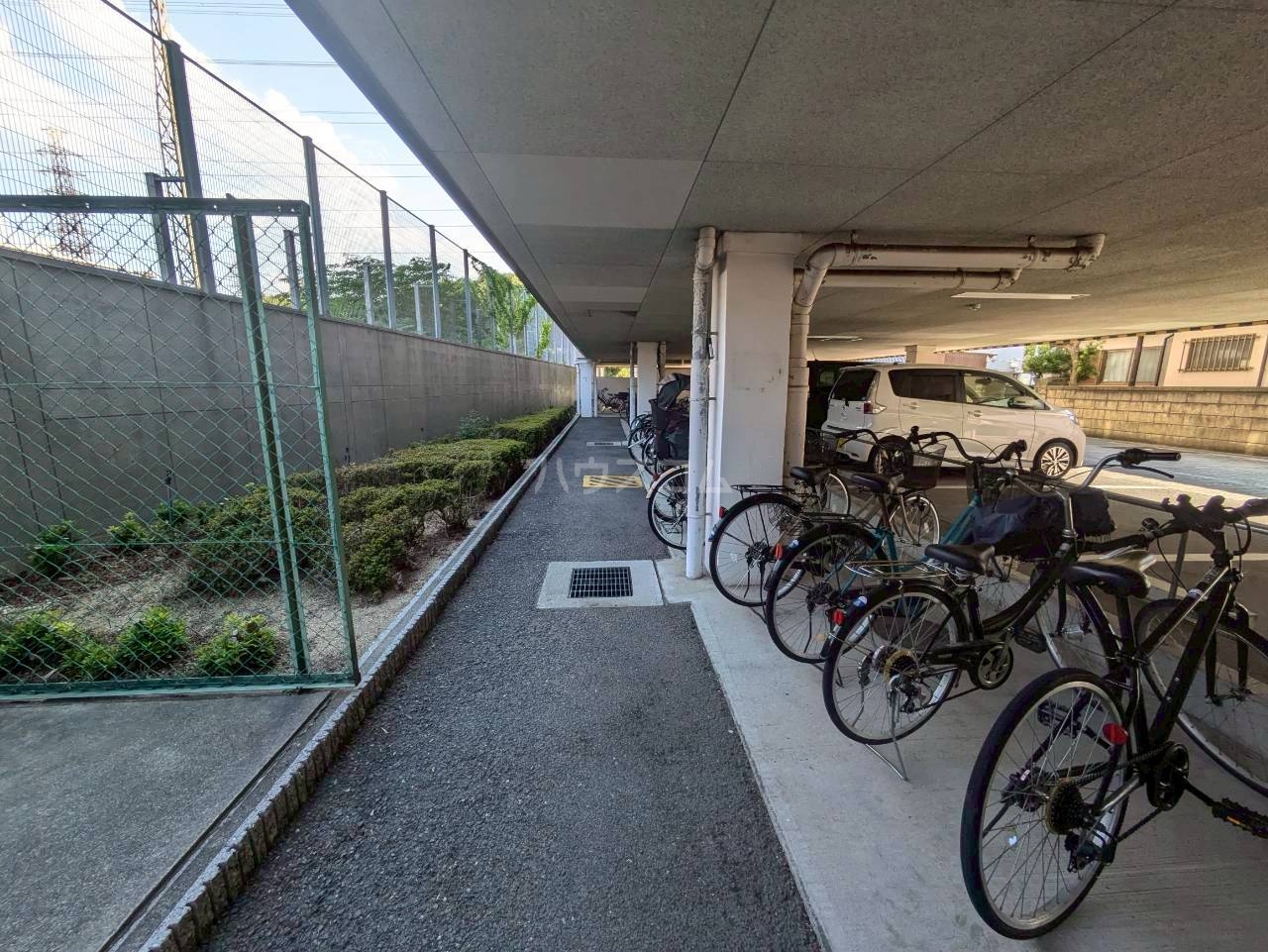 6/15 その他画像