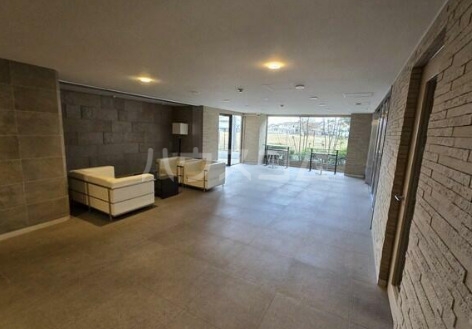 15/19 その他画像