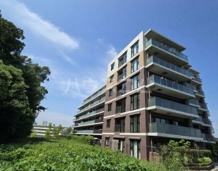 16/19 その他画像