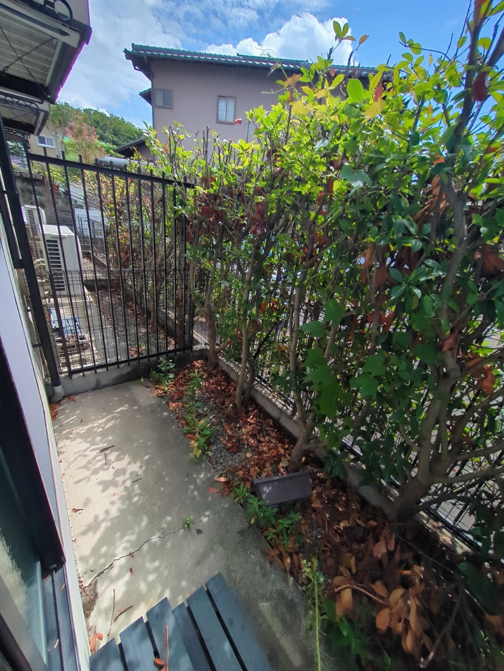 11/20 バルコニー