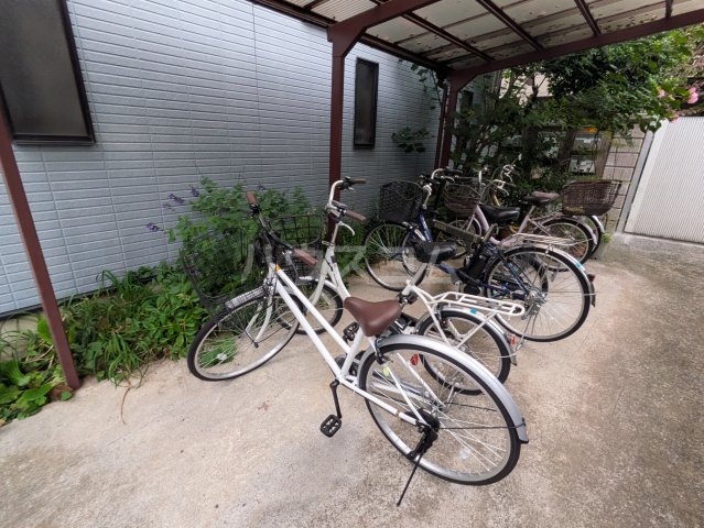 20/30 その他画像