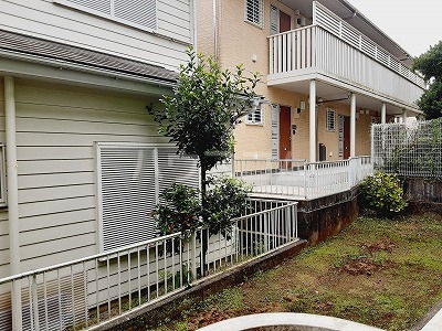 18/25 その他画像