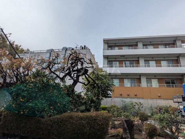 5/13 その他画像