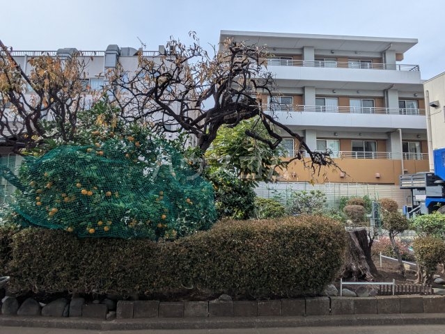 8/17 その他画像