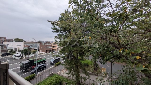 25/30 その他画像