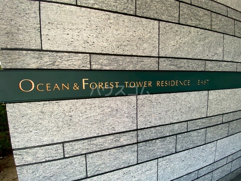 19/26 その他画像