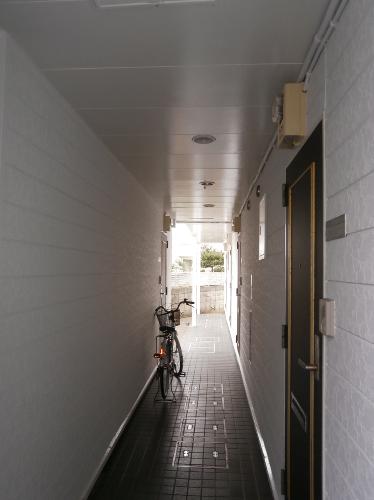 19/27 その他画像