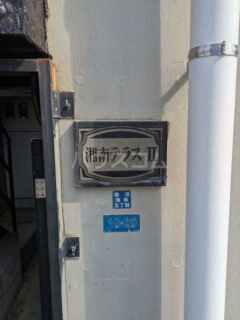 20/30 その他画像