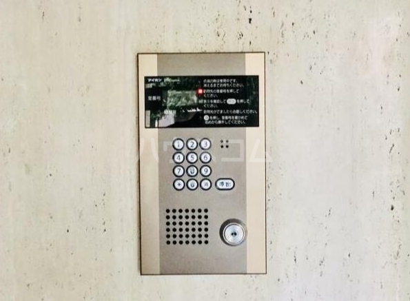 15/19 その他画像