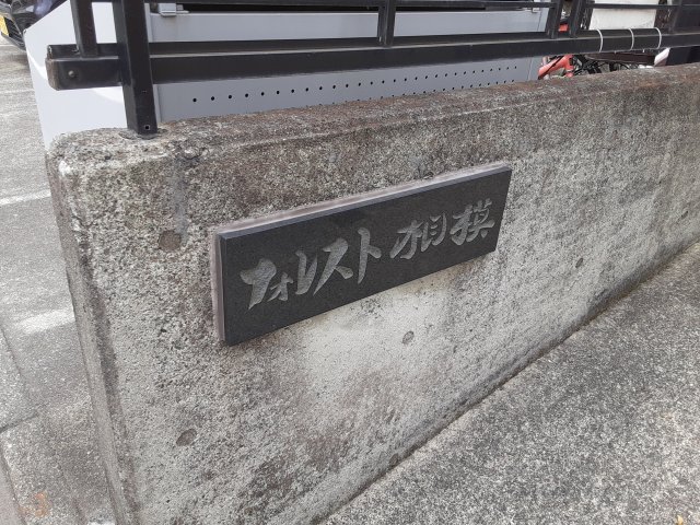 19/28 その他画像