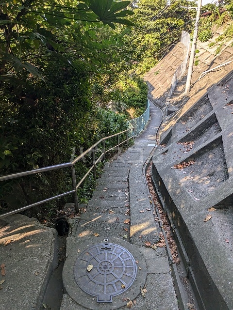 14/20 その他画像