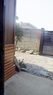 13/13 その他画像