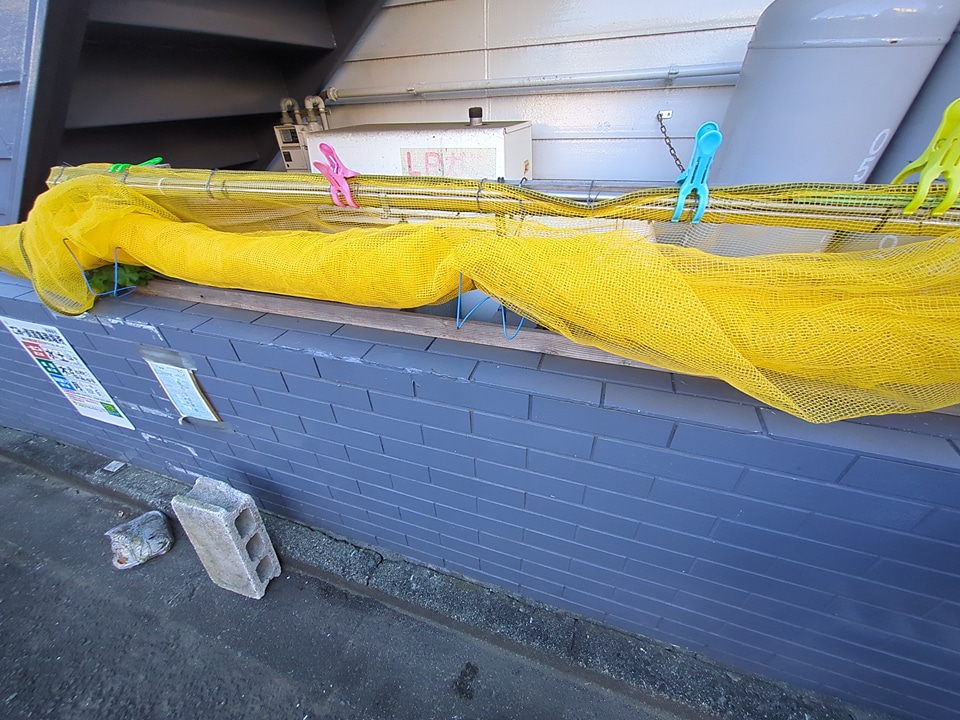 18/19 その他画像