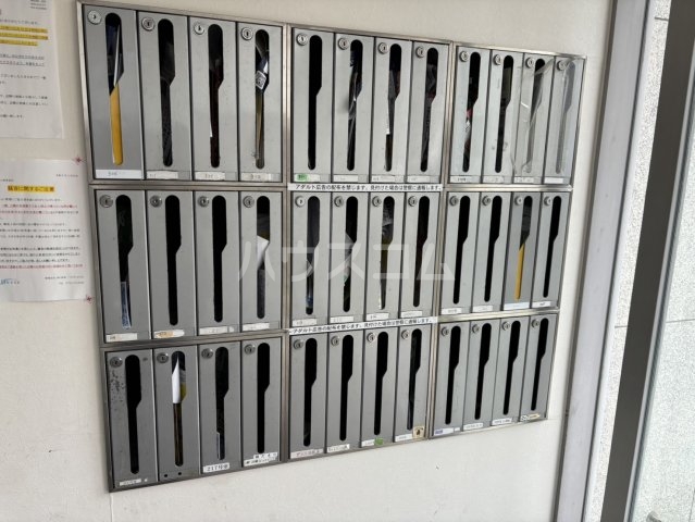 20/30 その他画像