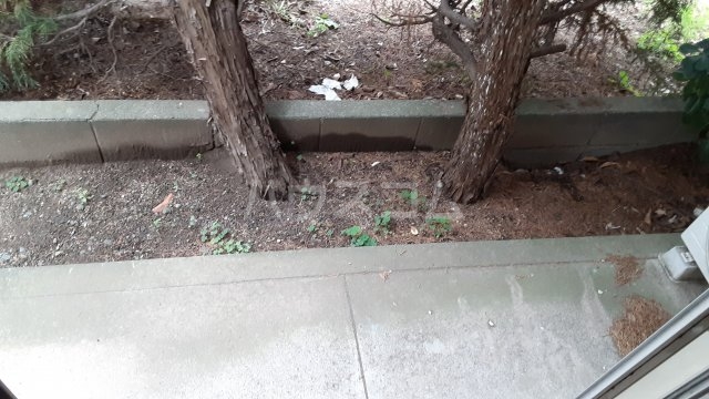 29/30 その他画像