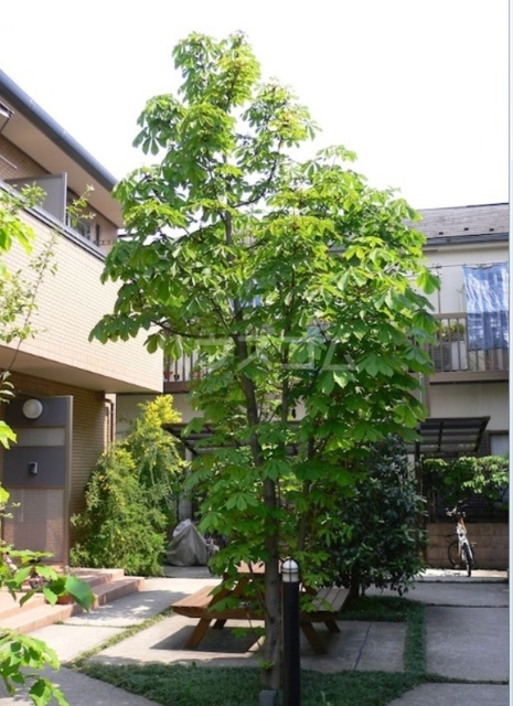 15/23 その他画像