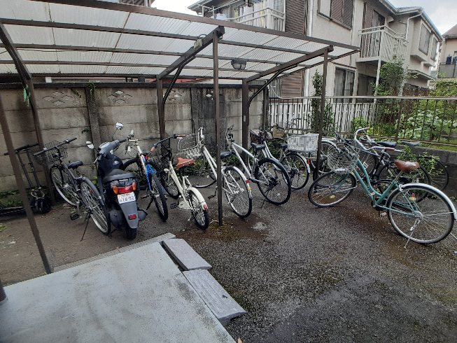 20/30 その他画像